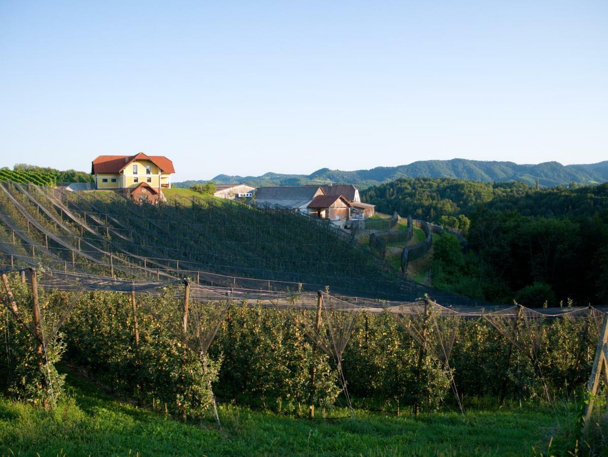Holiday Home Winzerhaus Eva Spicnik ภายนอก รูปภาพ